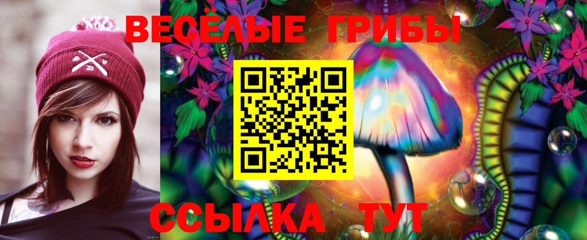 Дзержинский  Галлюциногенные грибы Cubensis  Вход с VPN 